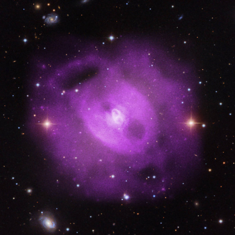 gaura neagra nasa 2