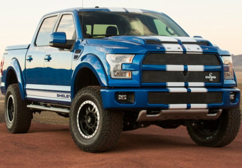 shelby