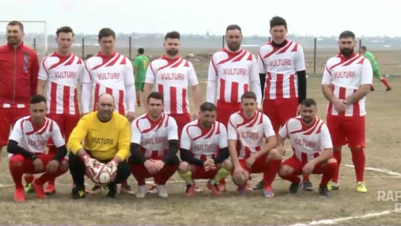 vulturii galbinasi