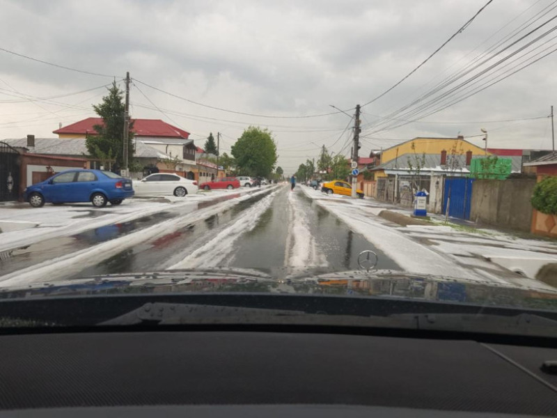 grindina curte Cernica judetul Ilfov 060519 (7)