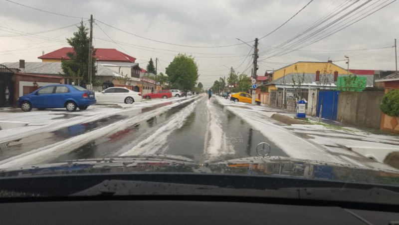 grindina curte Cernica judetul Ilfov 060519 (7)