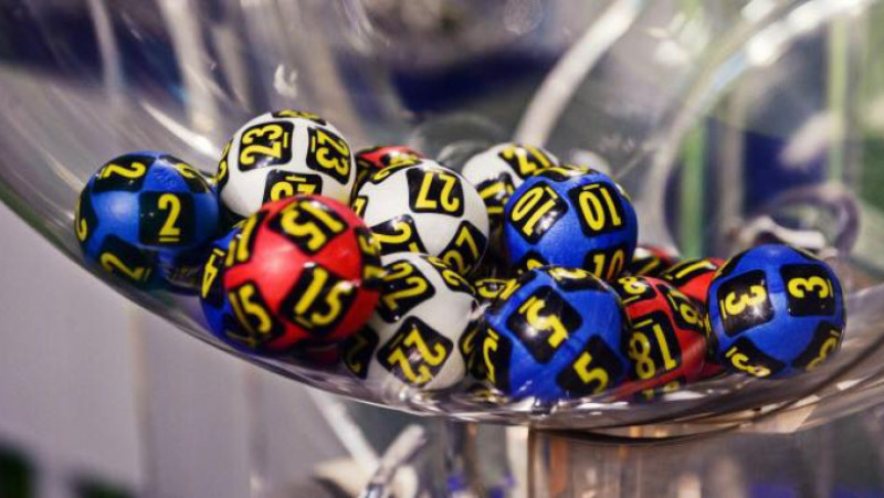 loto bile