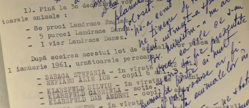 document cnsas