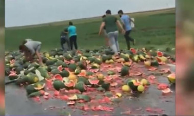 VIDEO. Bătaie pe pepeni gratis pe o șosea din Teleorman