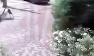 Momentul în care un milionar din Cluj ucide un tânăr pe „zebră” a fost filmat. Cum s-a petrecut tragedia