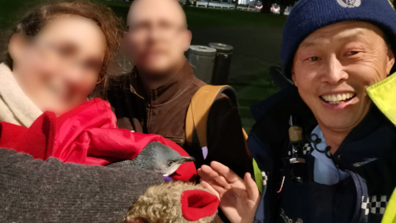 pinguinii amatori de sushi - politia din wellington fb