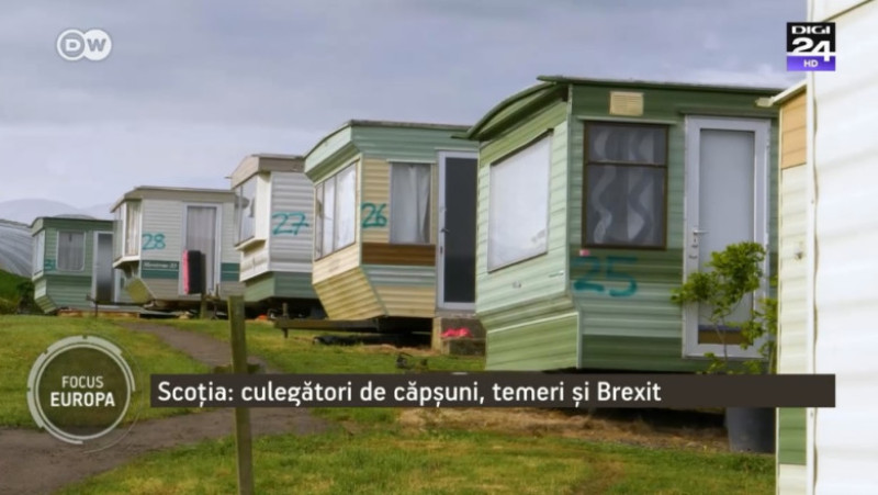 containere ferma capsuni - focus