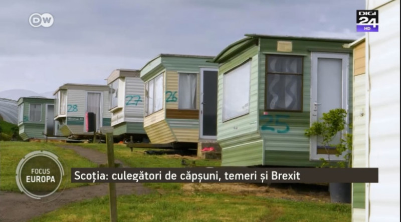 containere ferma capsuni - focus