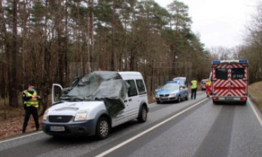 Cum a fost ucis de o căprioară un tânăr de 21 de ani din Suceava. Accidentul bizar s-a petrecut în Germania