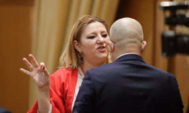 VIDEO. Scandal în Parlament cu Diana Șoșoacă. A intrat cu forța în Comisia Juridică: „S-a dat ordin să fiu bătută”