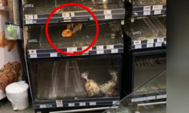Doi şobolani mănâncă dintr-un covrig pe raftul unui supermarket din Sectorul 1. Reacția magazinului și sancțiunea primită
