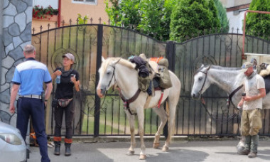 VIDEO. Călare pe cai, doi turiști străini s-au rătăcit în drumul spre Castelul Bran. Au fost găsiți în Craiova