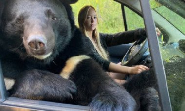 GALERIE FOTO Imagini surprinzătoare din Rusia. O tânără călătorește în mașină cu o ursoaică pe locul pasagerului din dreapta