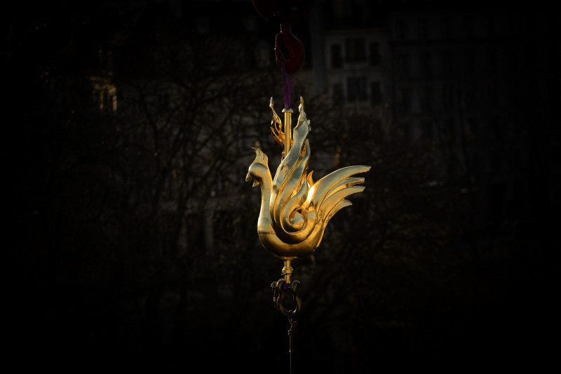 Notre-Dame Rooster Blessing Ceremony - Paris