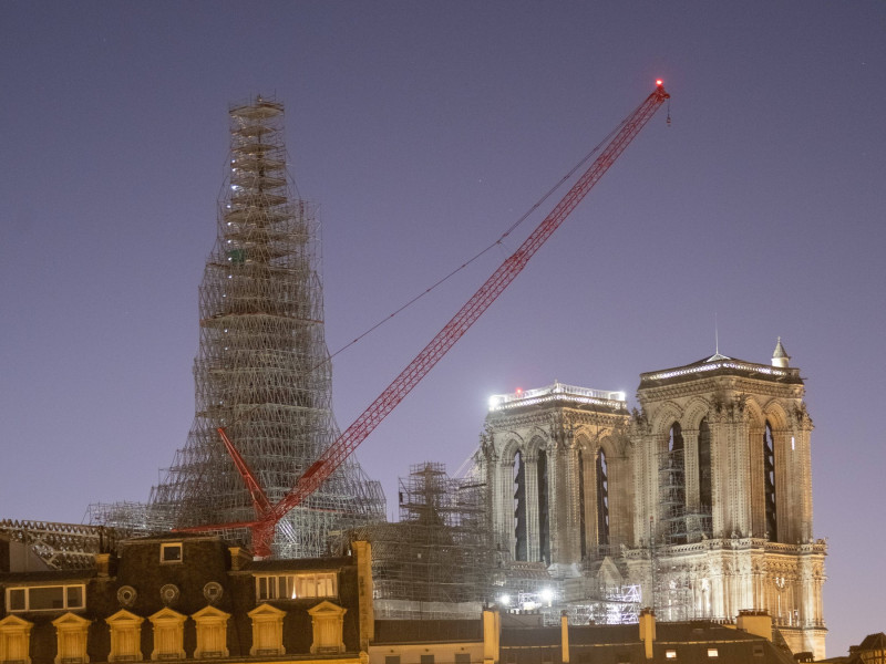 coq de Notre Dame