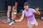 Monica Niculescu (ROU) - HAMBURG EUROPEAN OPEN - Hamburg - Womens Tennis, WTA250, 20.7.2022, Hamburg (Tennisstadion am