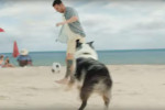 Soccer superstar Lionel Messi, Jason Sudeikis and Dan Marino all feature in Michelob Ultra’s Super Bowl commercial