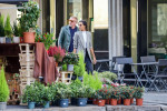 *EXCLUSIVE* 55-year-old Former German Tennis legend Boris Becker pictured with his girlfriend Lilian de Carvalho Monteiro going shopping for beds at Redaelli interiors shop in Milan.