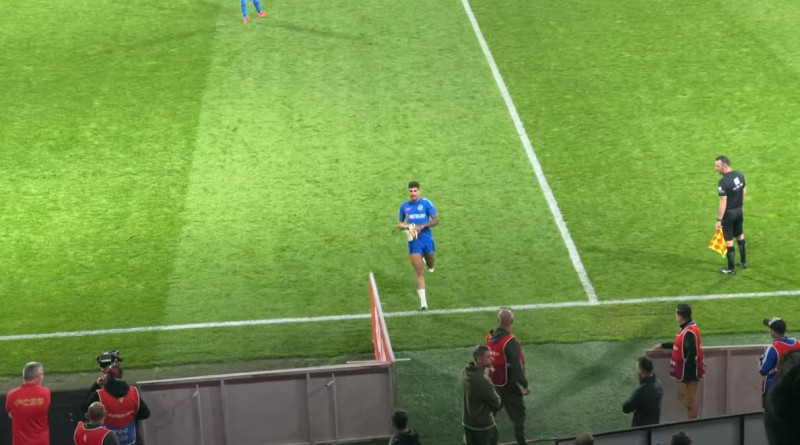 florinel coman gest (22)