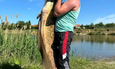 Pește uriaș prins pe o baltă din Vestul României. De patru ani pescarii încearcă să-l captureze Foto & video