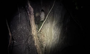 Creatura nemaivăzută descoperită într-o peșteră: Are colți ascuțiți ca lamele și solzi puternic crestați pe burtă