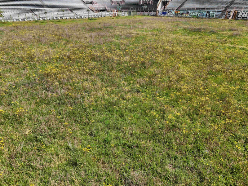 Stadio Flaminio a Roma