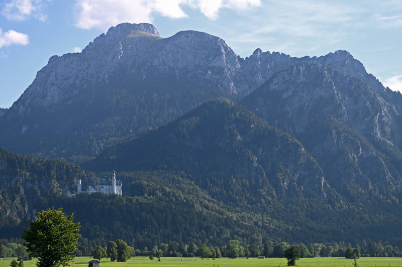 Schloss Neuschwanstein im bayerischen Allgäu bei Füssen, Deutschland *** Neuschwanstein Castle in Bavarian Allgäu near F