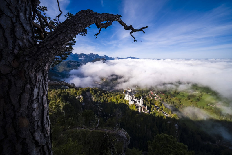 Aerial view of the castle Neuschwanstein and surrounding alpine landscape in autumn. Hohenschwangau Bavaria Germany FB_2