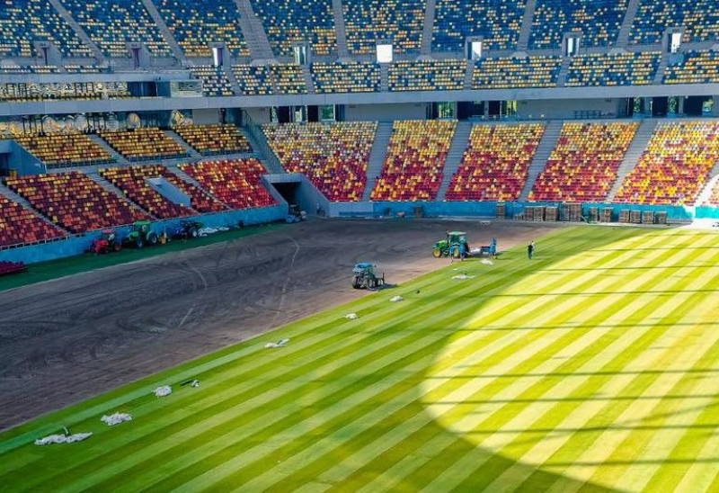 gazon arena nationala (3)