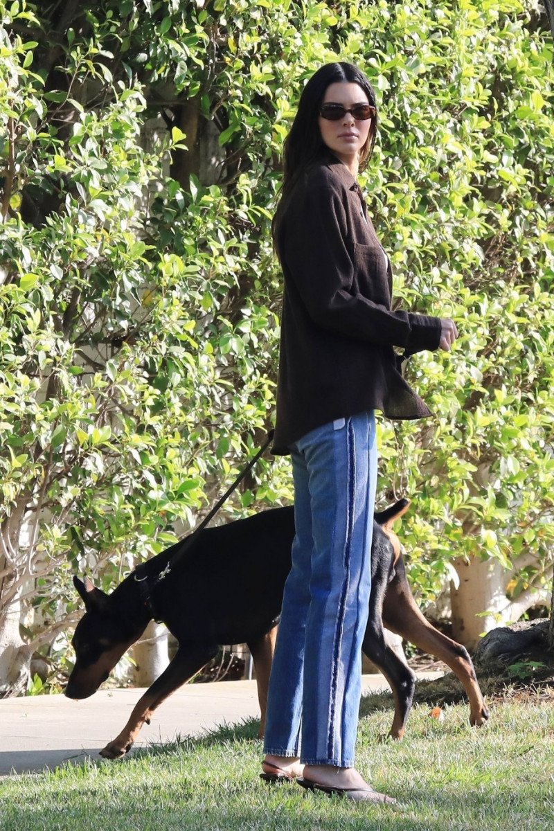 *EXCLUSIVE* Kendall Jenner takes her Doberman Pinscher out for a walk in Beverly Hills