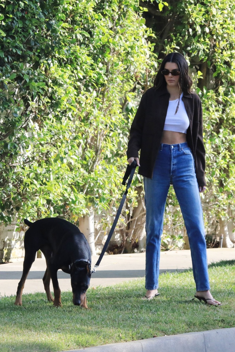 *EXCLUSIVE* Kendall Jenner takes her Doberman Pinscher out for a walk in Beverly Hills