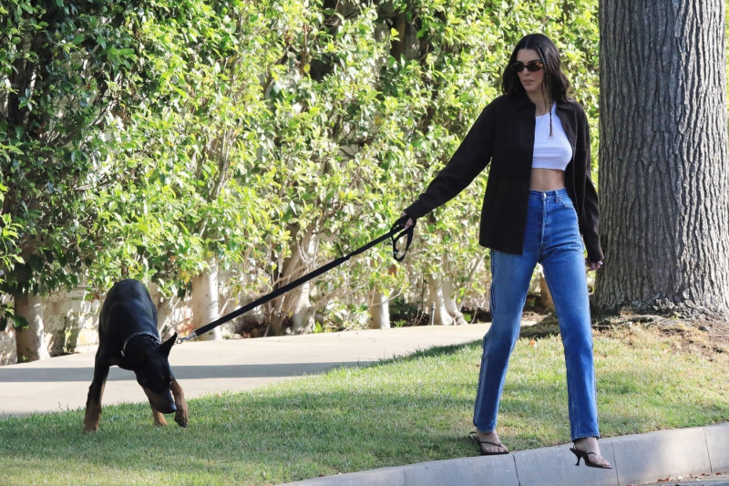 *EXCLUSIVE* Kendall Jenner takes her Doberman Pinscher out for a walk in Beverly Hills