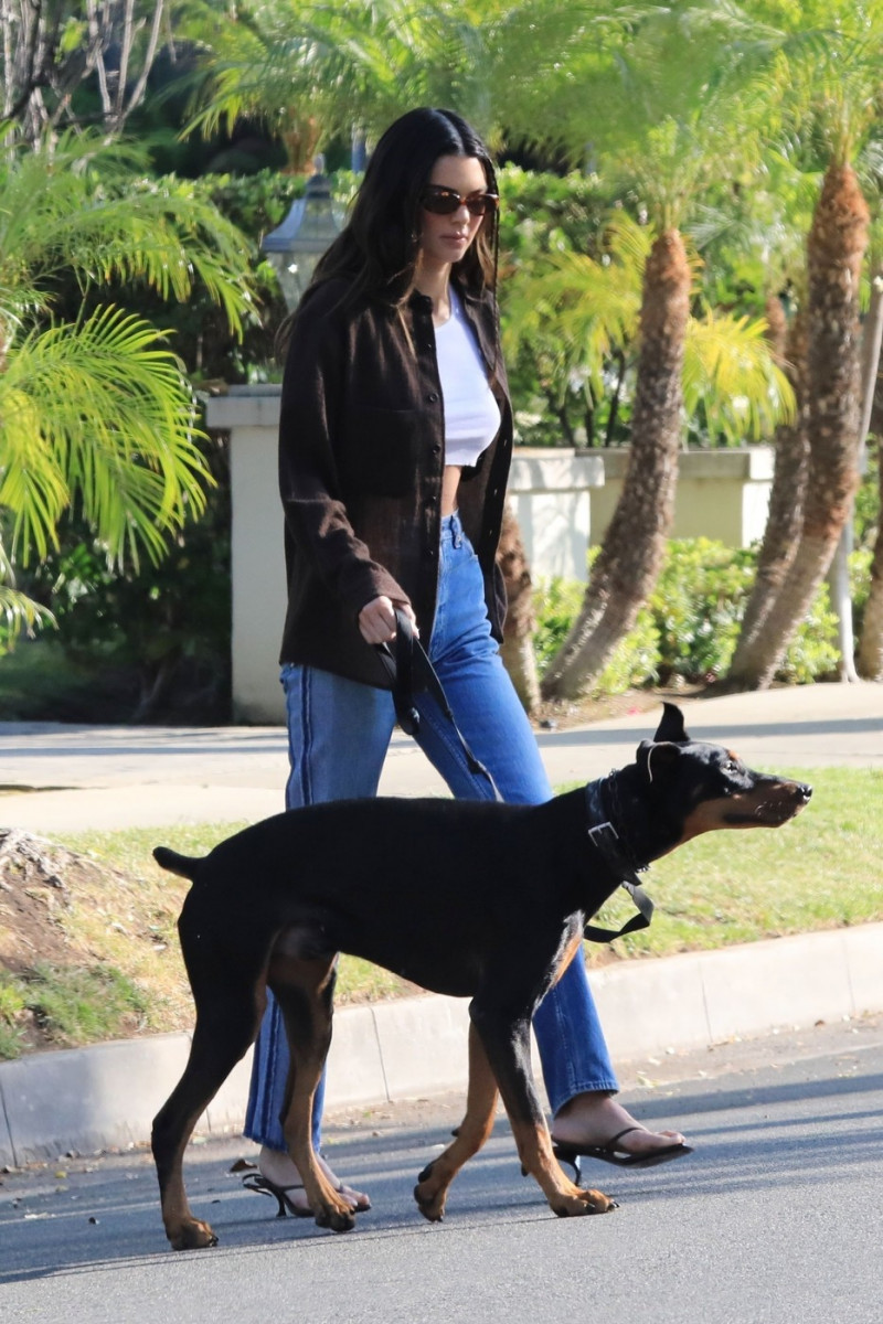 *EXCLUSIVE* Kendall Jenner takes her Doberman Pinscher out for a walk in Beverly Hills