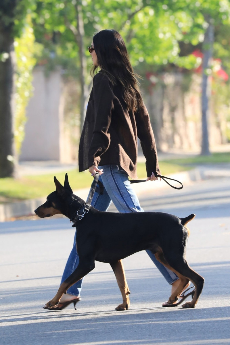 *EXCLUSIVE* Kendall Jenner takes her Doberman Pinscher out for a walk in Beverly Hills