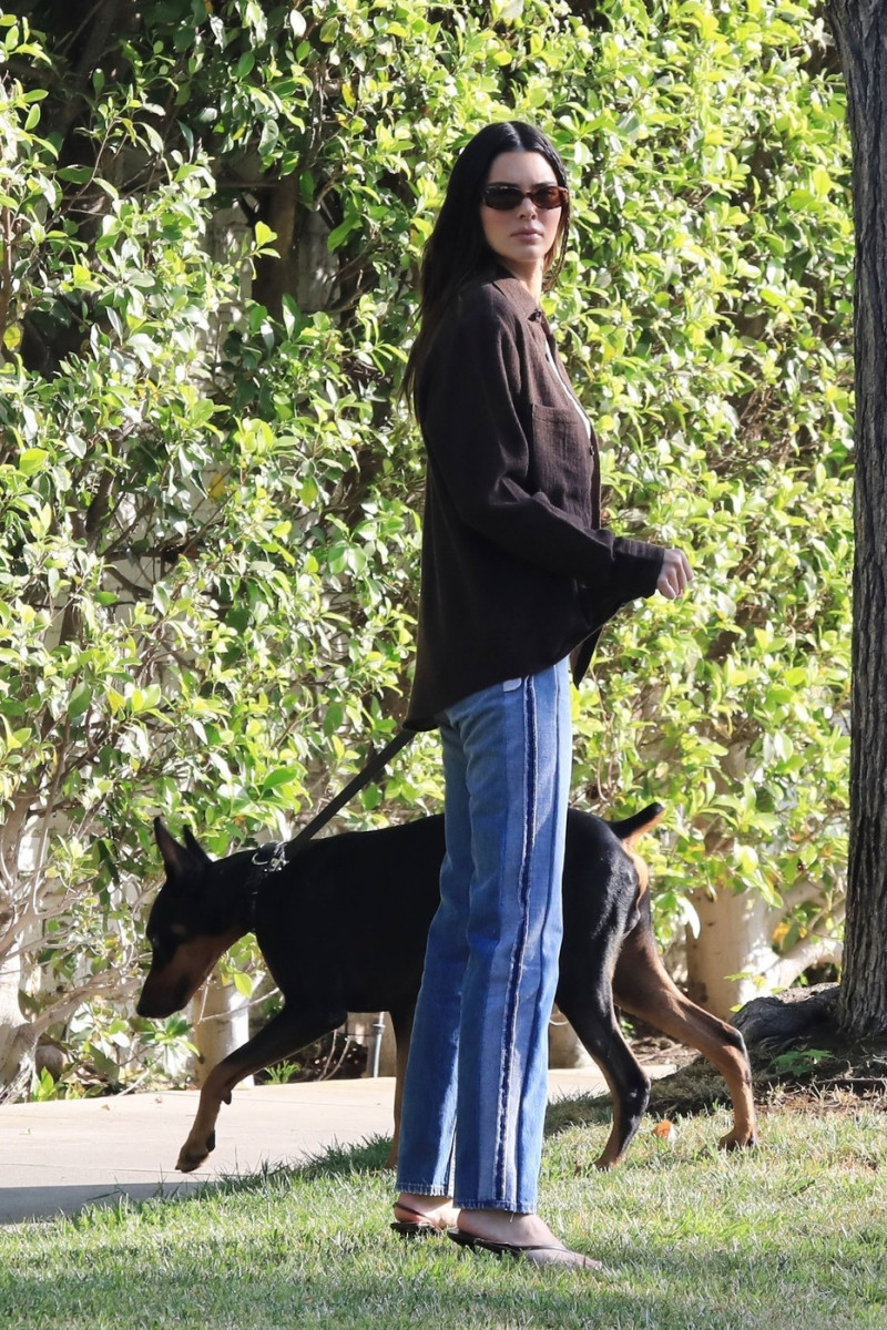 *EXCLUSIVE* Kendall Jenner takes her Doberman Pinscher out for a walk in Beverly Hills