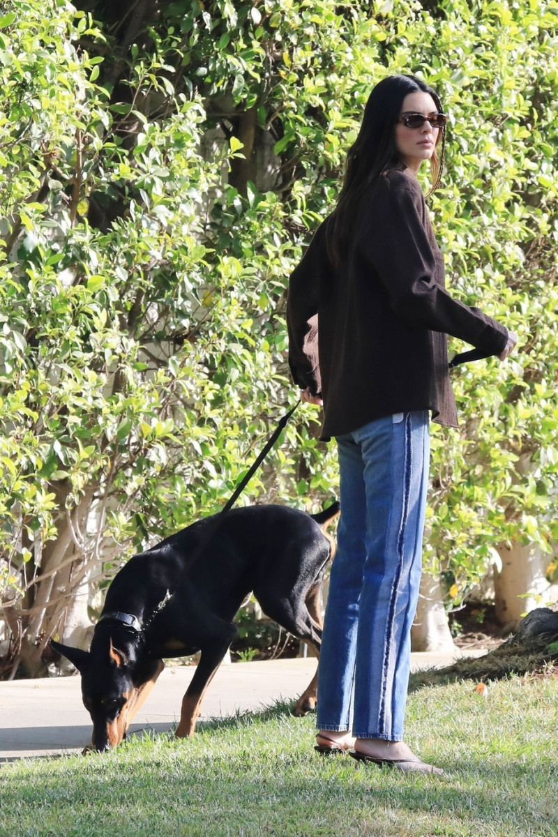 *EXCLUSIVE* Kendall Jenner takes her Doberman Pinscher out for a walk in Beverly Hills