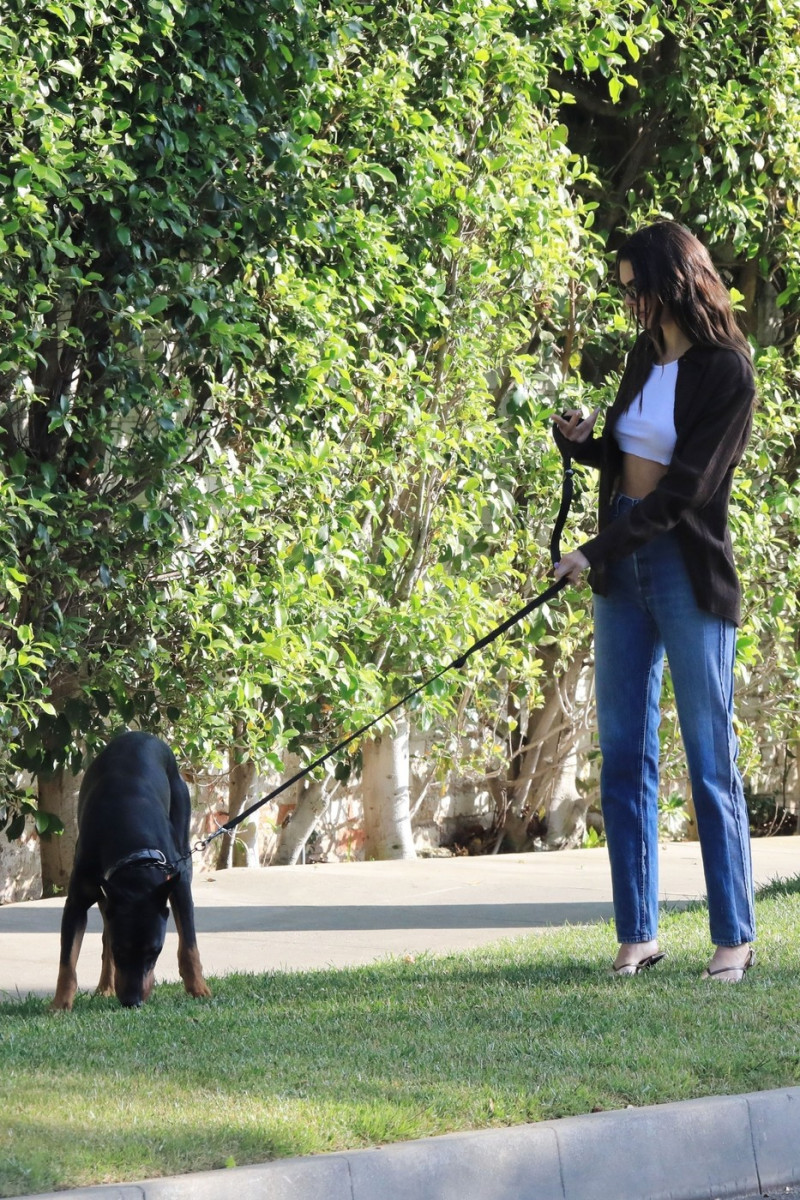 *EXCLUSIVE* Kendall Jenner takes her Doberman Pinscher out for a walk in Beverly Hills