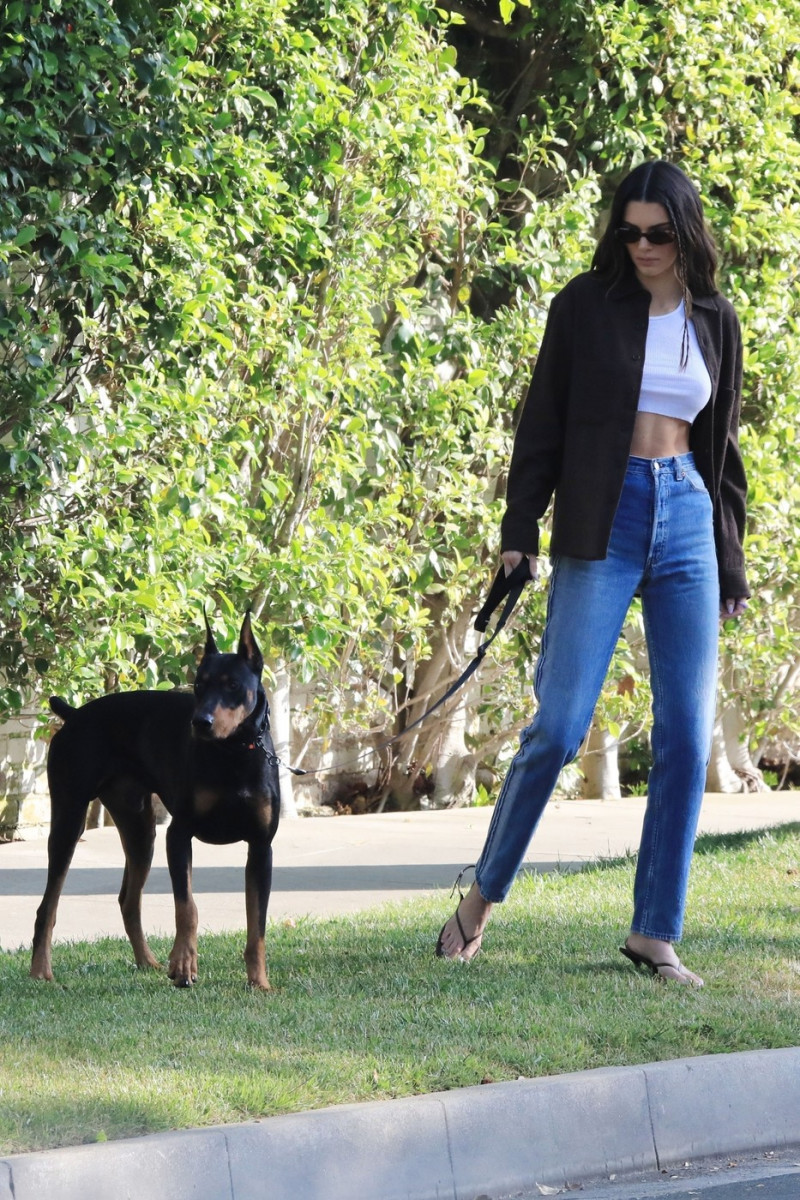 *EXCLUSIVE* Kendall Jenner takes her Doberman Pinscher out for a walk in Beverly Hills