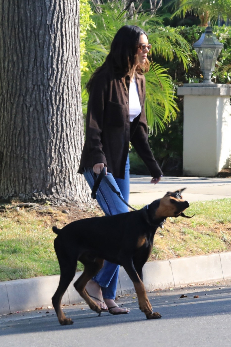 *EXCLUSIVE* Kendall Jenner takes her Doberman Pinscher out for a walk in Beverly Hills