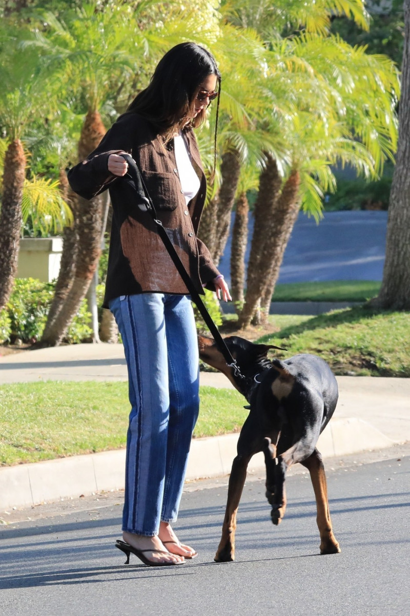 *EXCLUSIVE* Kendall Jenner takes her Doberman Pinscher out for a walk in Beverly Hills