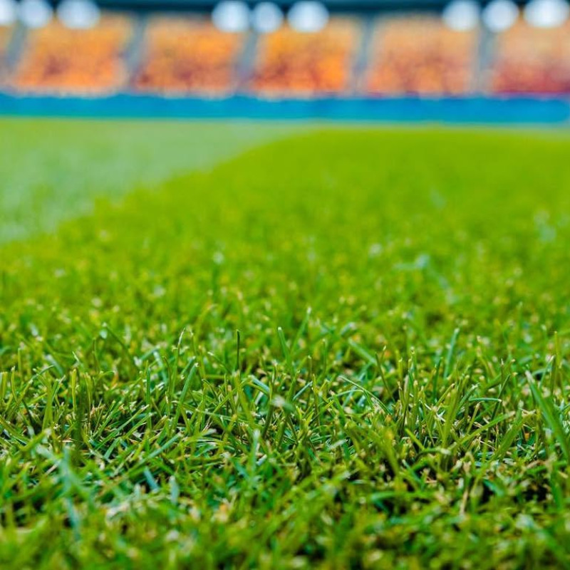 nicusor.dan.pg_1725971902_3454025089092342345_11524937572