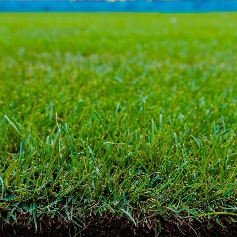 nicusor.dan.pg_1725971902_3454025089788620659_11524937572