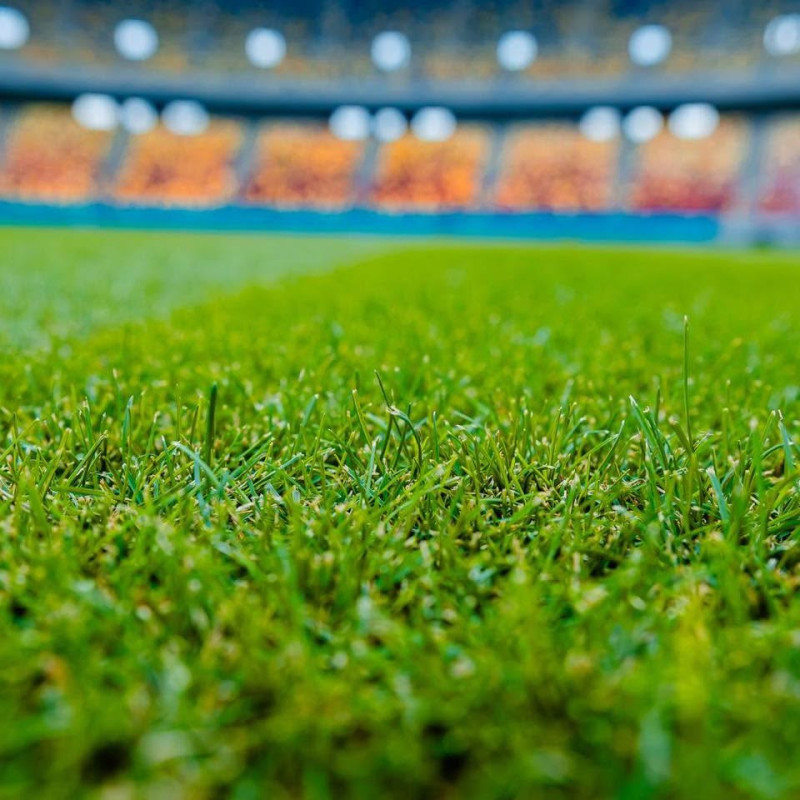 nicusor.dan.pg_1725971902_3454025090040228111_11524937572