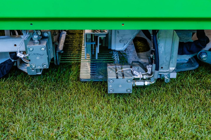 nicusor.dan.pg_1727102389_3463508325108863088_11524937572