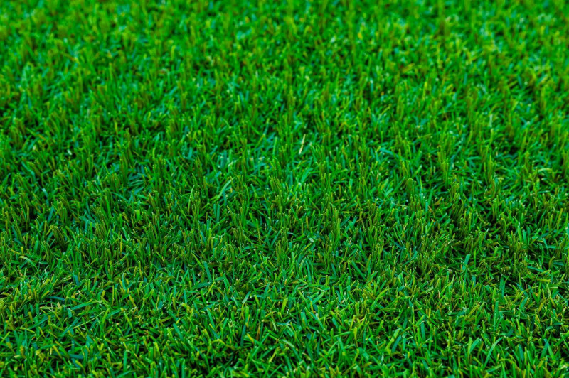 nicusor.dan.pg_1727102389_3463508325243256556_11524937572