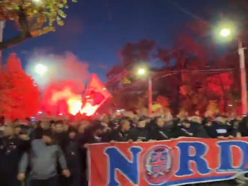 peluza nord dinamo fcsb (8)