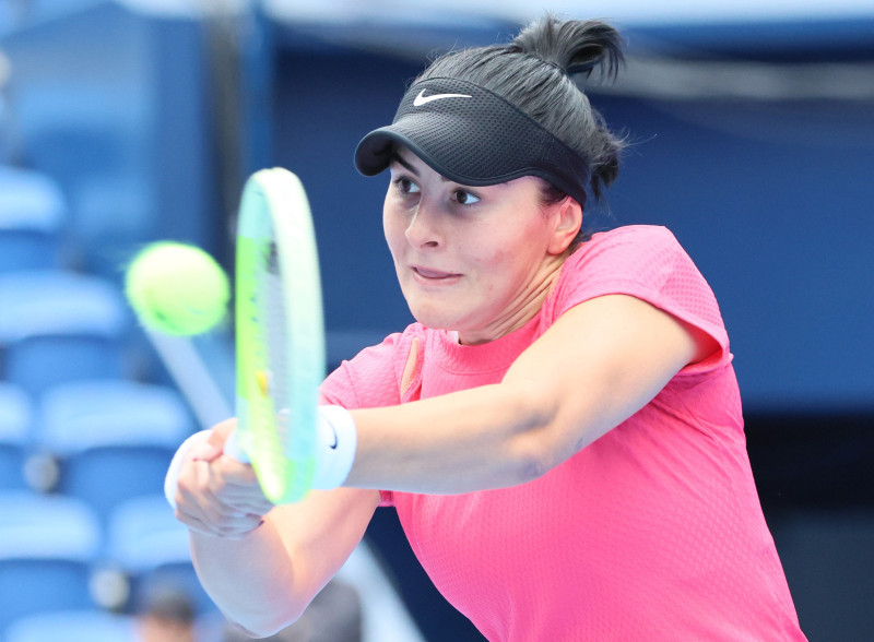 Toray Pan Pacific tennis tournament quarter finals