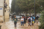 Search Missing Persons and Debris Removal After Floods - Spain