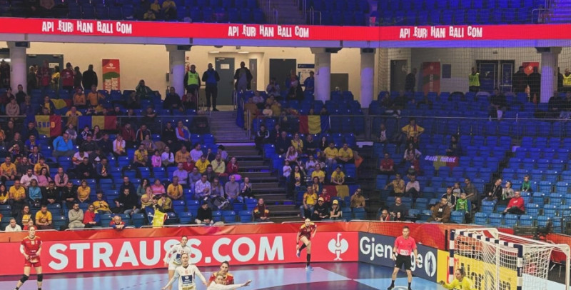 suporteri-romania-handbal4