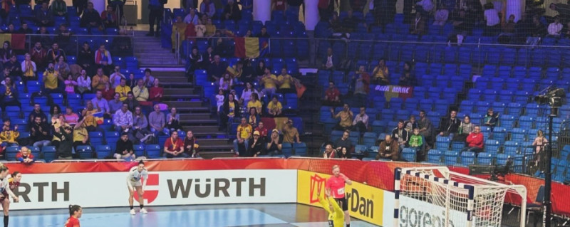 suporteri-romania-handbal5